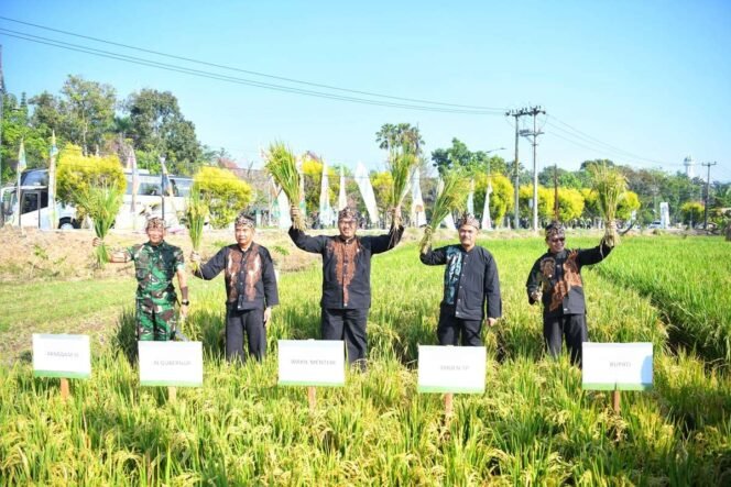
					Optimalisasi Lahan Upaya Strategis Pemerintah Wujudkan Swasembada Pangan
