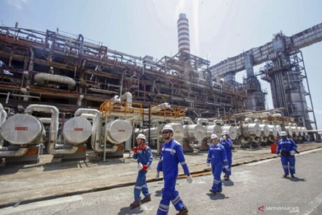 
					Penyederhanaan Regulasi Jadi Kunci Menuju Swasembada Energi Nasional