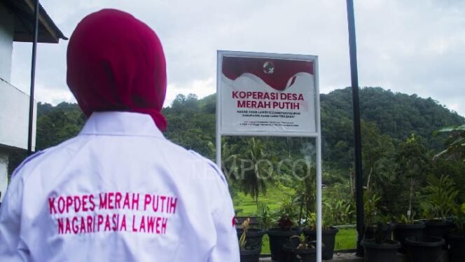 
					Pemerintah Pastikan Profesional Awasi Koperasi Merah Putih