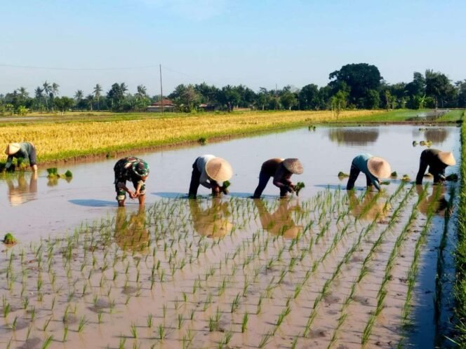 
					Transformasi Ekonomi Indonesia: Swasembada Pangan dan Energi Jadi Prioritas Strategis