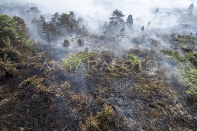 
					Pemerintah Lakukan Modifikasi Cuaca Cegah Karhutla