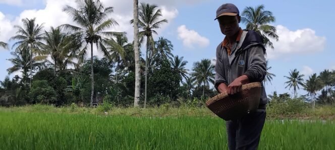 
					Pemerintah Percepat Swasembada Pangan dan Energi sebagai Pilar Ketahanan Nasional