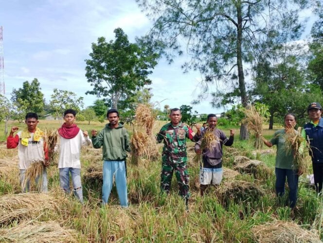 
					Swasembada Pangan dan Energi Jadi Fondasi Kemandirian Nasional, Pemerintah Siapkan Kebijakan Terintegrasi