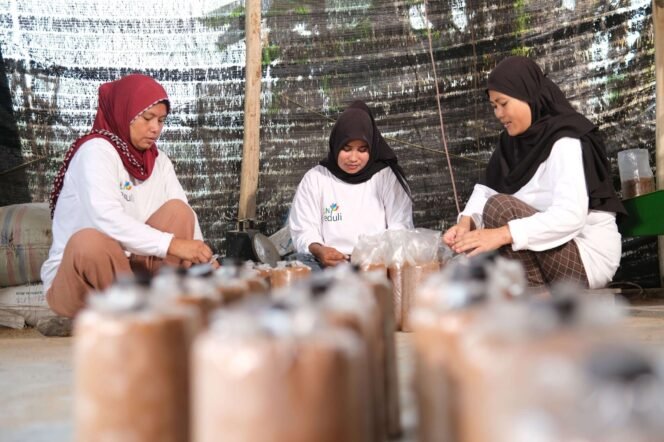
					Pemerintah Jamin Kebijakan Pajak E-Commerce Berpihak pada Pelaku UMKM