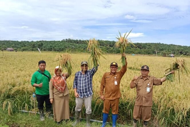 
					Ketahanan dan Swasembada Pangan Indonesia: Surplus di Tengah Tantangan Global