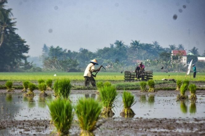 
					Swasembada Pangan, Perisai Indonesia di Tengah Konflik Global