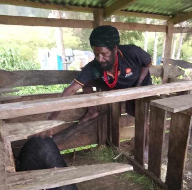 
					Bantuan Pemerintah Hadirkan Harapan Baru bagi Masyarakat Adat di Papua