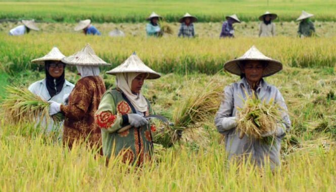 
					Pemerintah Terus Dukung Peran Pengusaha Lokal Wujudkan Swasembada Pangan Melalui Alsintan Daerah