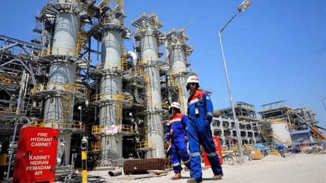 
					Energi Terbarukan Buka Peluang Pangkas Impor BBM dan Percepat Swasembada Energi