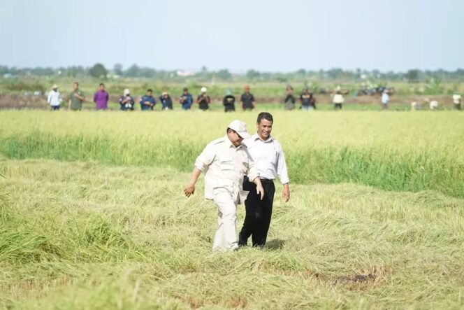 
					Target Swasembada Pangan Buka Peluang Pertumbuhan Ekonomi Nasional