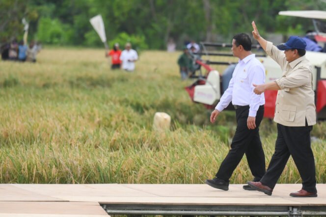 
					Indonesia Berhasil Capai Swasembada Pangan Lebih Cepat dari Target