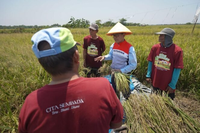 
					Swasembada Pangan Jadi Bukti Keberhasilan Program Strategis Presiden Prabowo