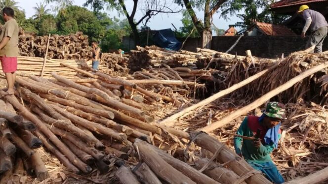 
					Kayu Hanyutan Pascabanjir Sumatra Dimanfaatkan, Pemulihan Infrastruktur Dipercepat