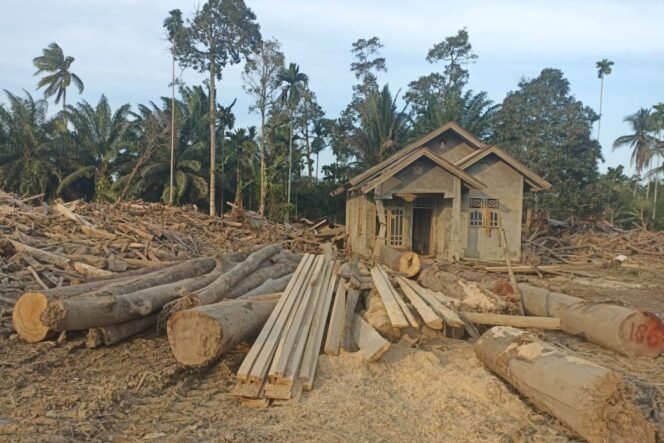 
					Pemanfaatan Kayu Hanyutan Percepat Pembangunan Hunian Sementara di Aceh dan Sumut
