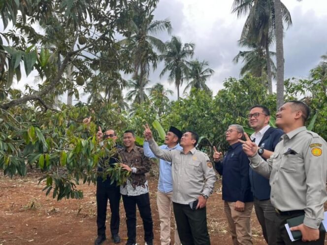 
					Hilirisasi Perkebunan Rakyat Didorong, Nilai Tambah Petani Jadi Fokus
