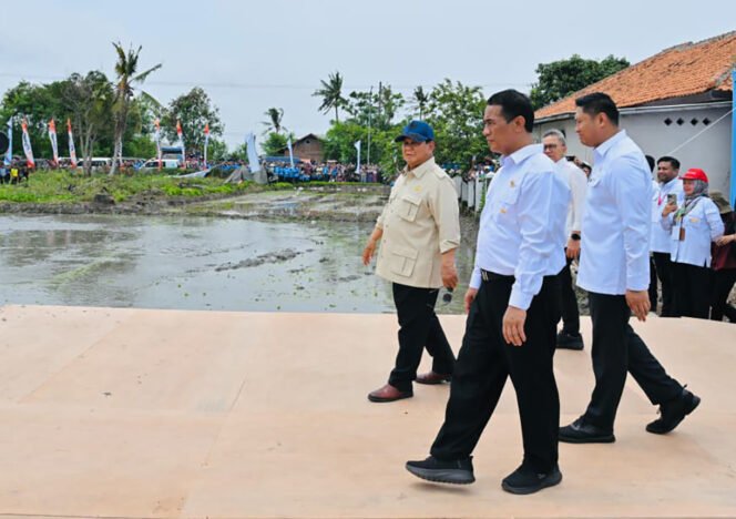 
					Presiden Prabowo Penggagas Lompatan Besar Swasembada Pangan