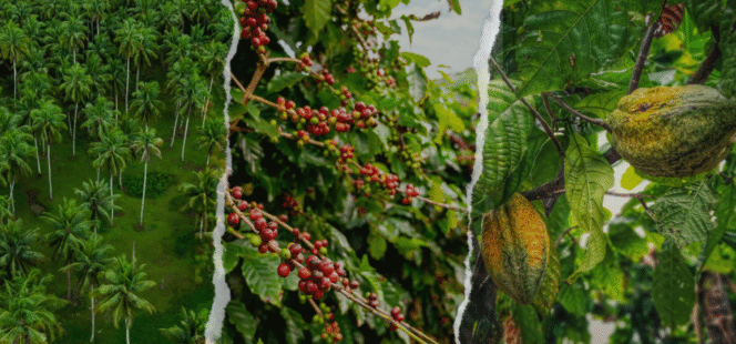 
					Hilirisasi Perkebunan Dorong Kemandirian Ekonomi Nasional