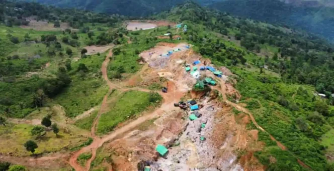 
					Selamatkan Hutan, Presiden Tertibkan Lahan Sawit dan Tambang via Satgas PKH