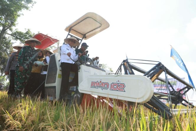
					Teknologi Pertanian Berkelanjutan Dukung Penguatan Swasembada Pangan