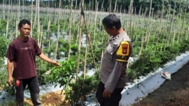 
					Apresiasi dan Dukungan Menguat, Swasembada Pangan Multi Komoditas Masuki Babak Baru