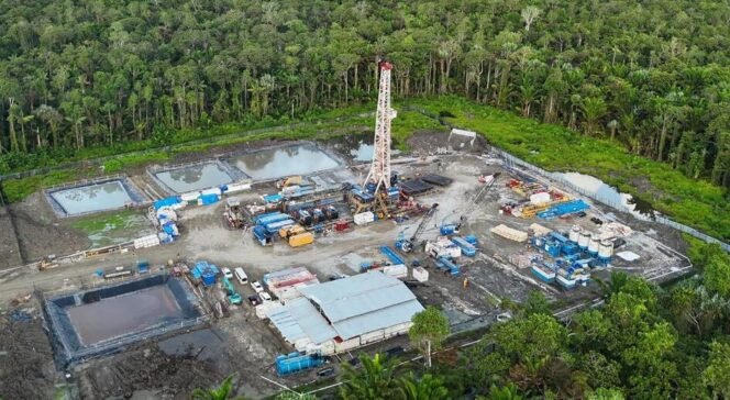 
					Swasembada Energi Papua Jadi Langkah Strategis Pemerataan Pembangunan