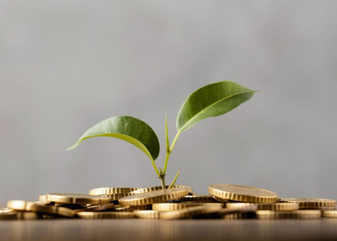 
					Perbaikan Iklim Usaha Jadi Pilar Kuat Stabilitas Investasi Indonesia