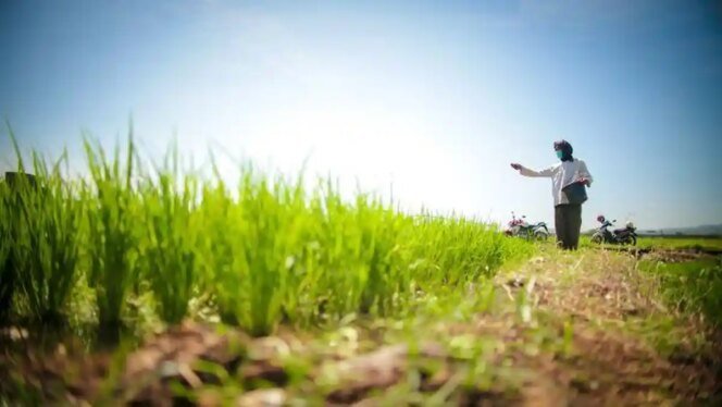
					Pemerintah Perkuat Perlindungan Sawah dan Reforma Agraria untuk Jaga Swasembada Pangan