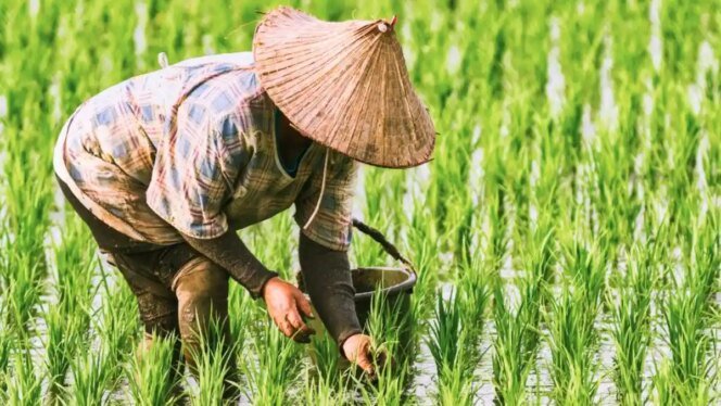
					Swasembada Pangan Menguat, Fondasi Keberlanjutan dan Kesejahteraan Petani Turut Diperkuat
