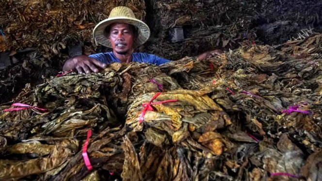 
					Deregulasi dan Mekanisasi Jadi Kunci Swasembada Pangan Nasional