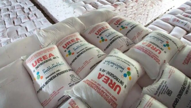 
					Swasembada Pangan dan Pupuk Terjangkau Jadi Prioritas Pemerintah