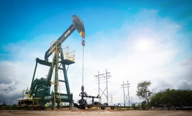 
					Pemerintah Bangun Kemandirian Energi demi Masa Depan Papua