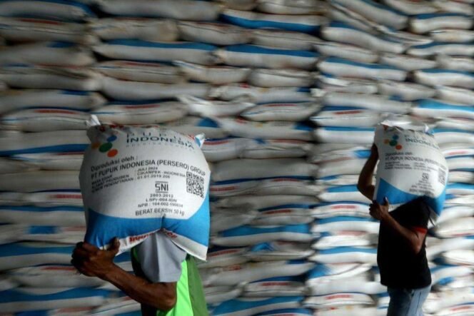 
					Pemerintah Kunci Alokasi Pupuk Subsidi demi Swasembada Pangan