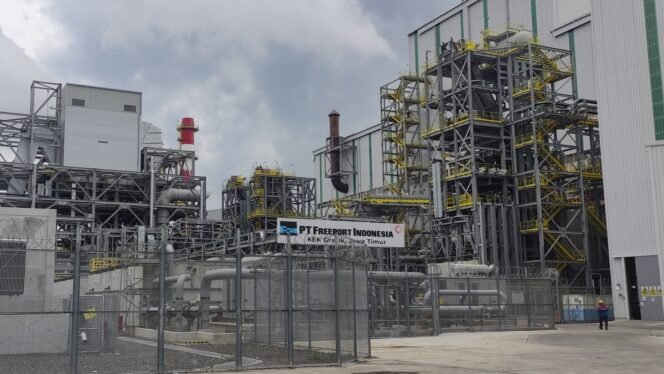 
					Penguatan Hilirisasi Komoditas Unggulan Papua Dorong Perekonomian Daerah