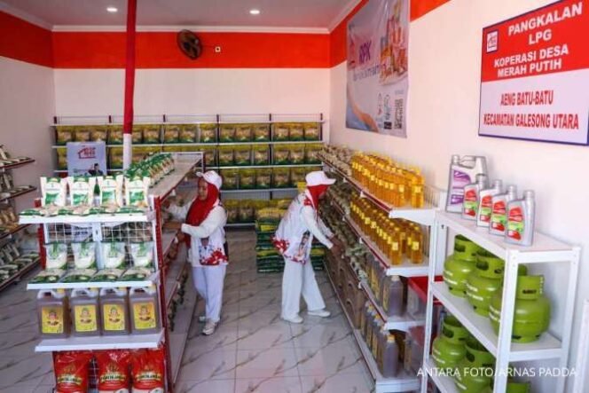 
					Koperasi Merah Putih: Mitra Ritel, Penguat Kelontong