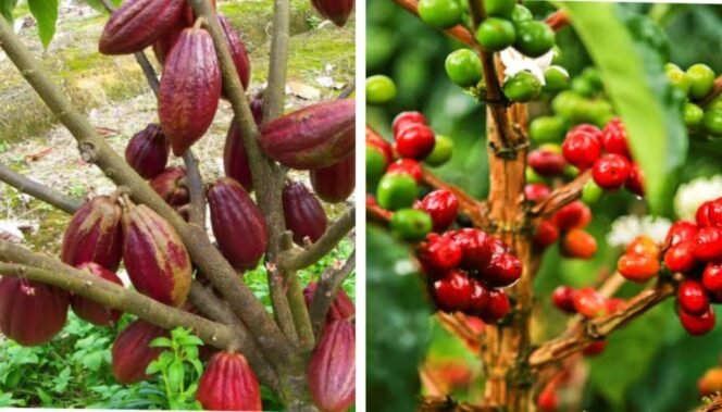 
					Hilirisasi Didorong untuk Tingkatkan Nilai Tambah Ekonomi Nasional