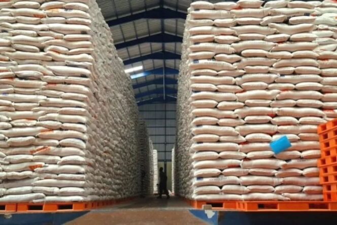 
					Di Tengah Dampak Global, Stok Beras Nasional Dipastikan Aman