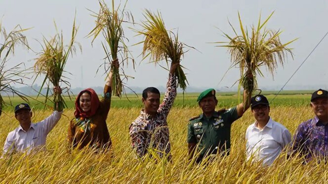 
					Ketahanan Pangan Indonesia Menguat di Tengah Tekanan Global