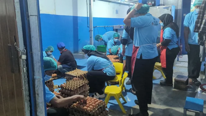 
					MBG Dinilai Mampu Hidupkan Kembali Aktivitas UMKM Daerah