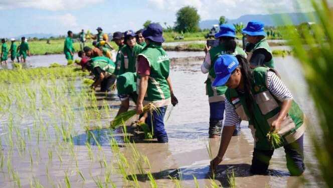 
					Tanam Serentak Dipercepat, Ketahanan Pangan Nasional Diperkuat