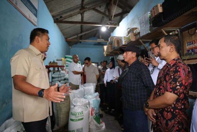 
					Harga Pupuk Subsidi Diturunkan Presiden Prabowo untuk Dukung Sektor Pertanian