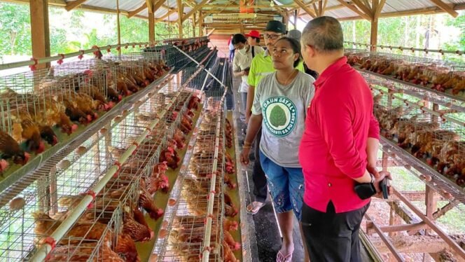 
					Tokoh Adat Papua Apresiasi Bantuan Pemerintah untuk Ekonomi Warga