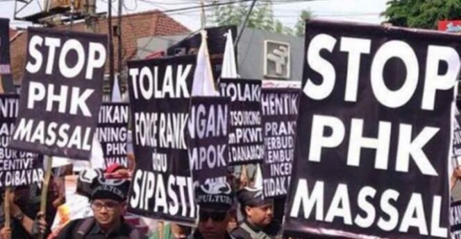 
					Mitigasi PHK di Papua Lewat Akselerasi Infrastruktur dan Hilirisasi Industri