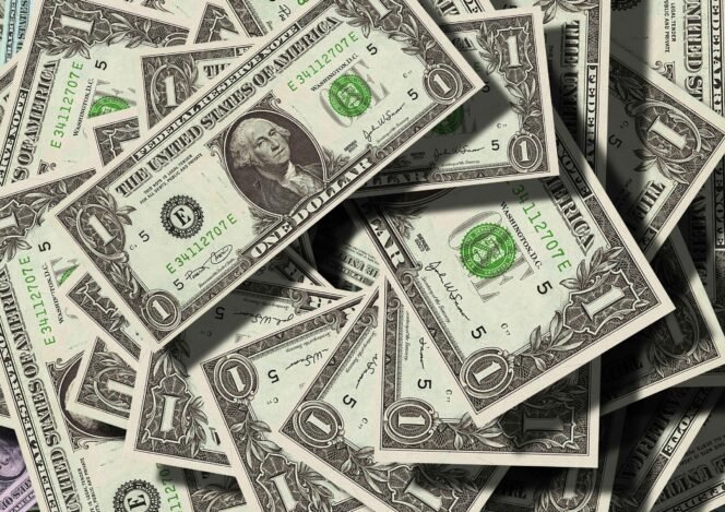 
					Cadangan Devisa yang Kuat Menjadi Benteng Ketahanan Ekonomi Nasional