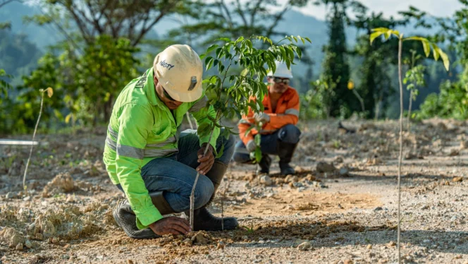 
					Pemerintah Tegaskan Tata Kelola SDA Tak Ganggu Operasional Tambang yang Sudah Berjalan