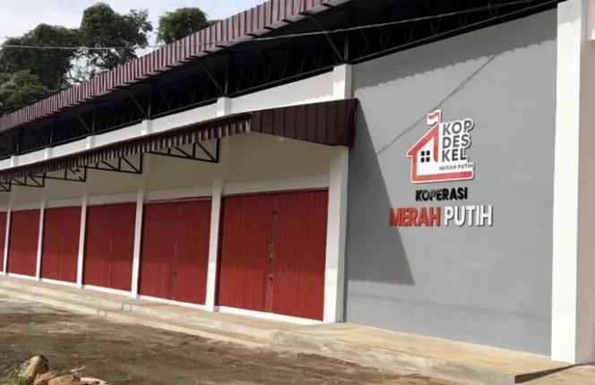 
					Koperasi Merah Putih Perkuat Penyerapan Produk Lokal dan Kesejahteraan Petani