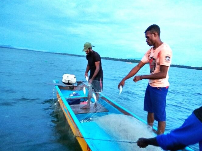 
					Program MBG Jadi Penggerak Konsumsi Ikan dan Kesejahteraan Nelayan Papua