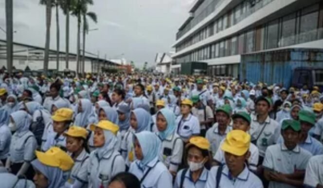 
					Mitigasi PHK dan Penguatan JKP Menjadi Fondasi Ketahanan Ketenagakerjaan