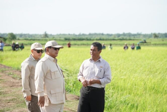 
					Percepat Kesejahteraan Masyarakat Papua Pemerintah Cetak 2000 hektar Sawah