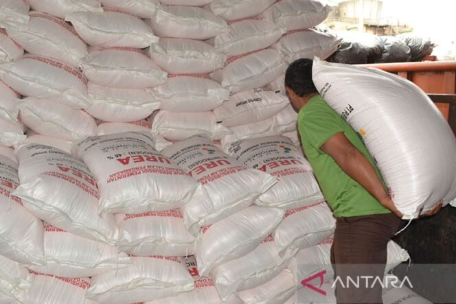 
					Stok Pupuk Subsidi Aman, Produktivitas Pangan Terjaga
