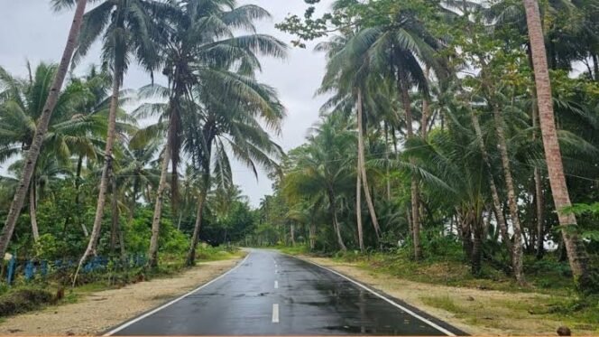 
					Pembangunan Jalan dan Listrik Percepat Transformasi Papua yang Maju dan Sejahtera